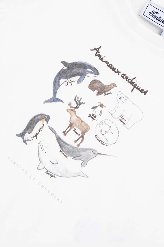 Tartine et Chocolat longsleeve bawełniany niemowlęcy niebieski TZ10051.67.74
