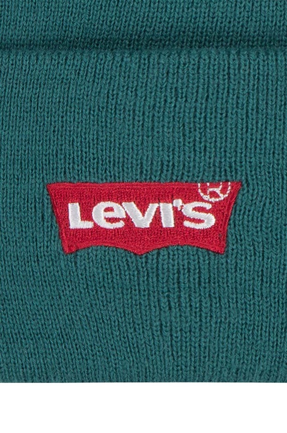 Dječaci Dječja kapa Levi's LAN LEVI'S CORE BATWING BEANIE 9A8620 zelena