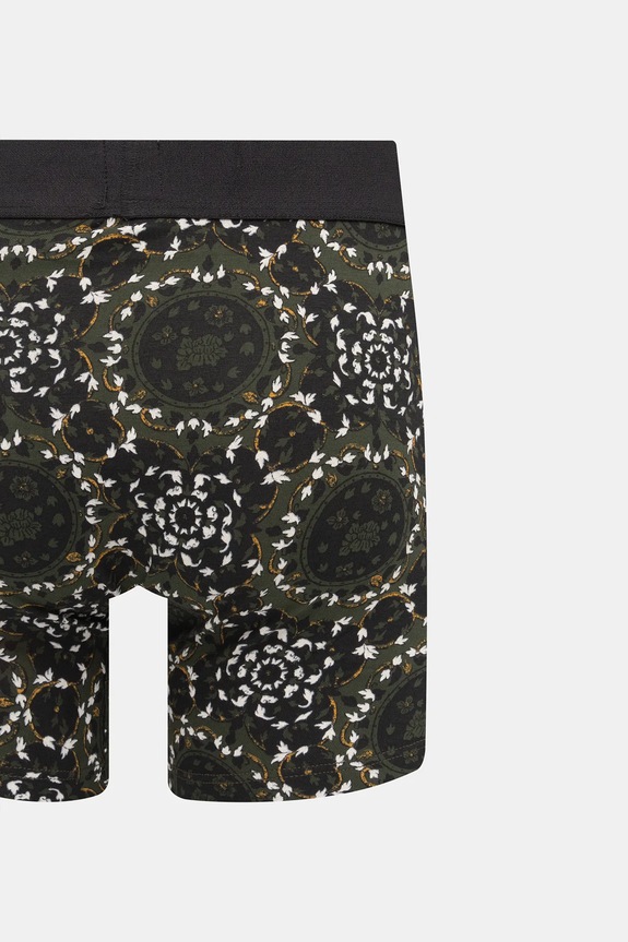 Ρούχα Μποξεράκια Levi's 2-pack 37149.1207 πράσινο