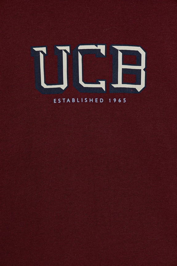 Băieți United Colors of Benetton hanorac de bumbac pentru copii 3J68C10PZ.G.seasonal burgundia