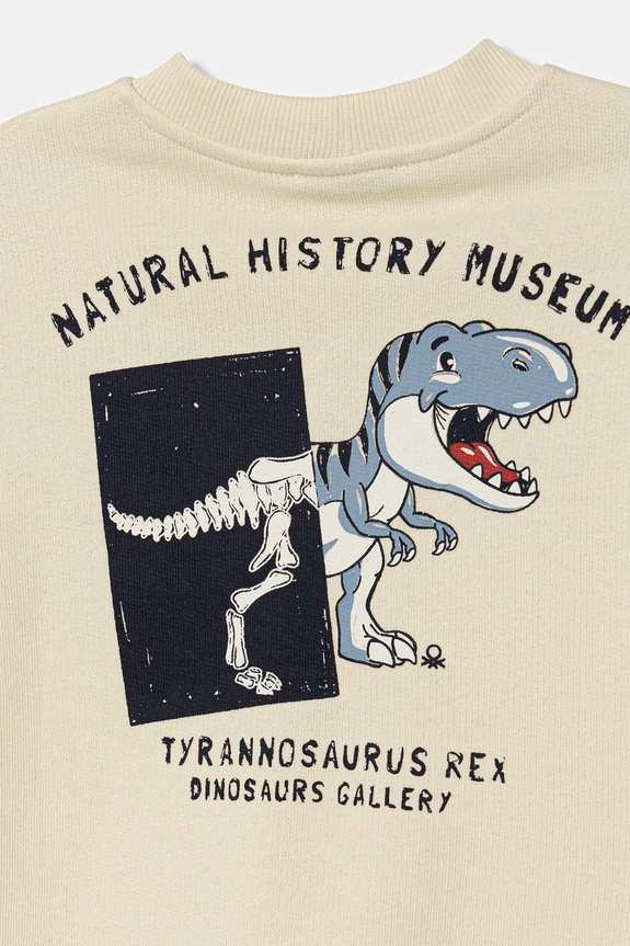 Αγορίστικα Παιδική βαμβακερή μπλούζα United Colors of Benetton 3J68G10KN.P.seasonal μπεζ