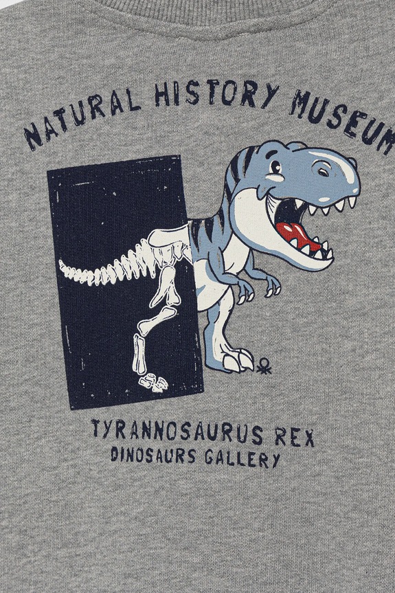 Αγορίστικα Παιδική βαμβακερή μπλούζα United Colors of Benetton 3J68G10KN.P.seasonal γκρί