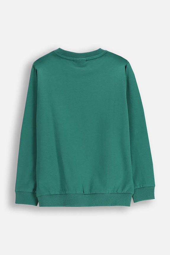 Coccodrillo bluza bawełniana dziecięca ZC5143101YBK zielony AW25