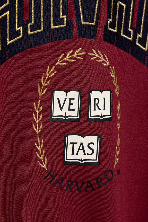 Djevojčice Dječja dukserica United Colors of Benetton 32N4C10PQ.G.seasonal bordo