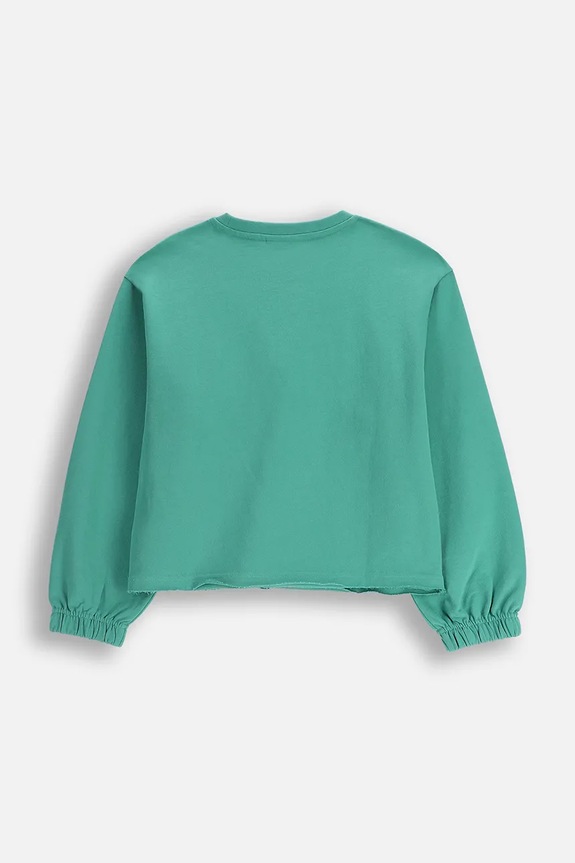 Dziewczynka Coccodrillo bluza bawełniana dziecięca ZC5132101RGJ zielony