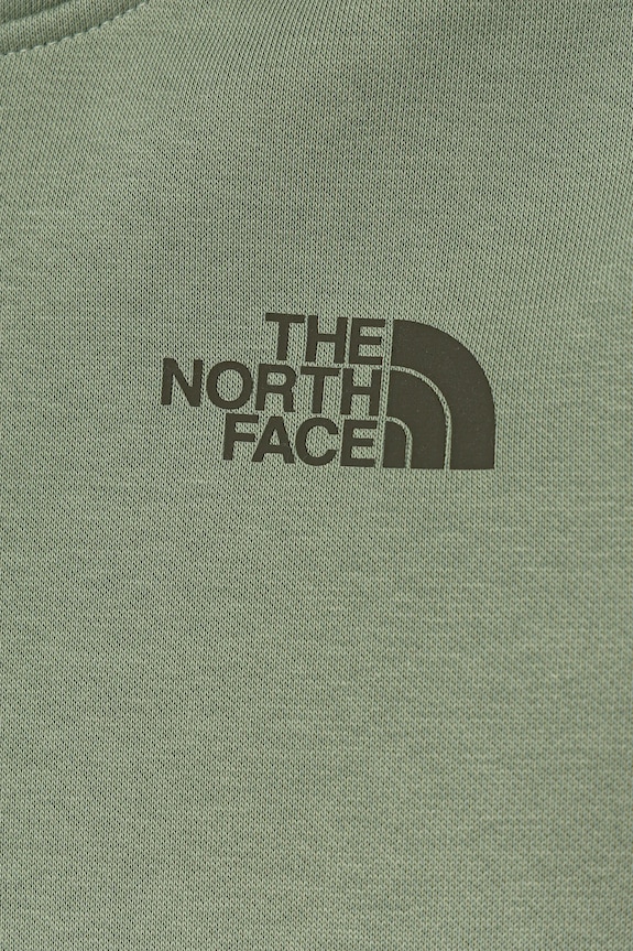 Băieți The North Face bluză copii TEEN BOX NSE REGULAR HOODIE NF0A89H9DI21 verde