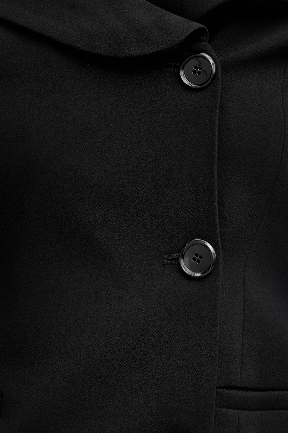 Σακάκι Pinko 106132.A304 μαύρο