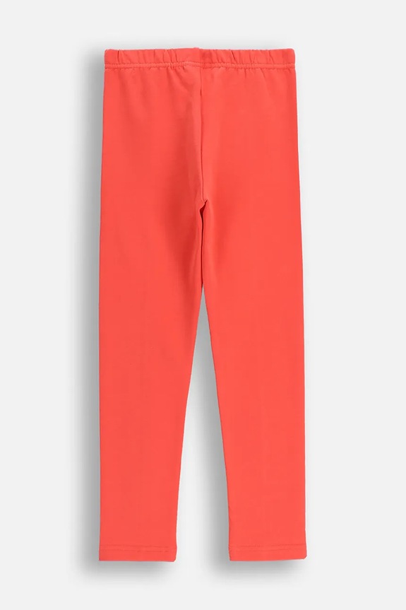 Coccodrillo leggings per bambini ZC5122701FGK rosso AW25