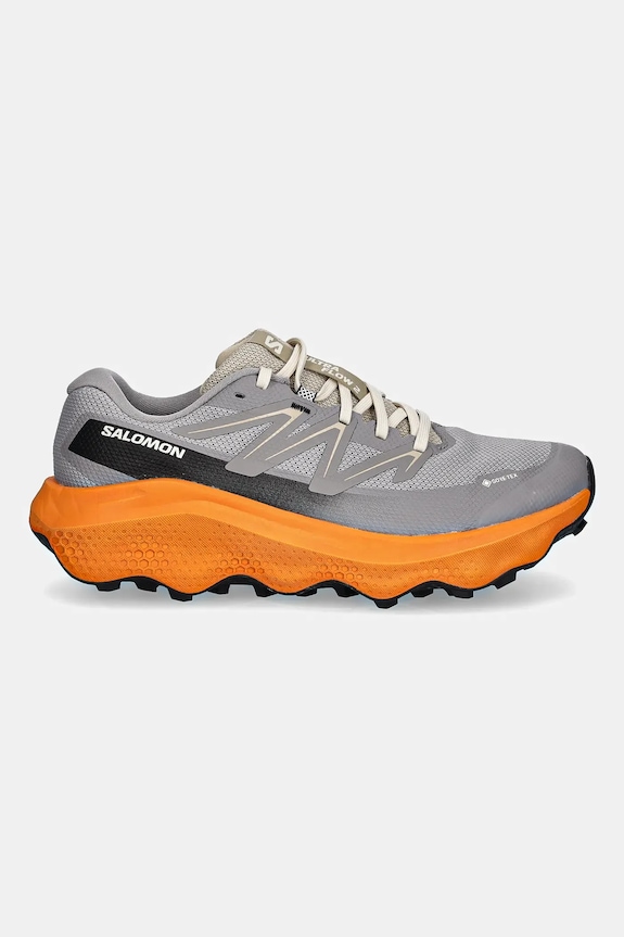 Черевики Salomon ULTRA FLOW 2 GTX L47884200 сірий AW25