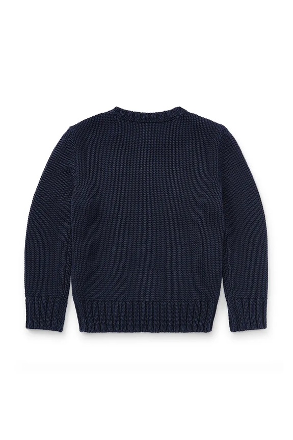 Хлопчик Светр Polo Ralph Lauren 322668285001 темно-синій