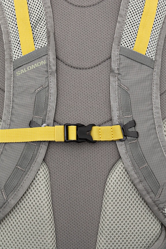 Salomon rucsac TRAILBLAZER 30 LC2463000 gri