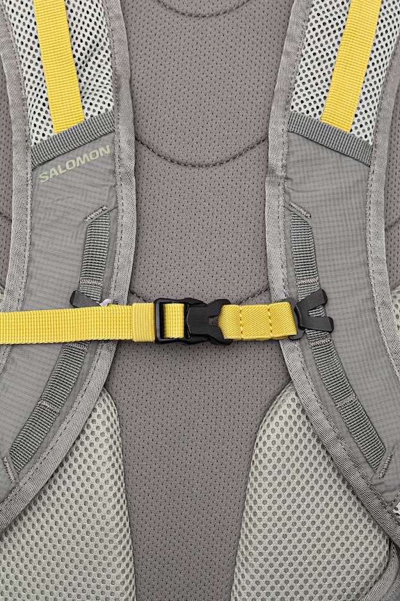 Salomon rucsac TRAILBLAZER 30 LC2463000 gri