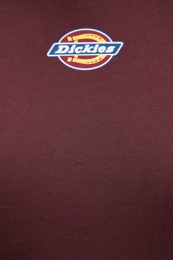 Dickies t-shirt DK0A4ZAO bordowy