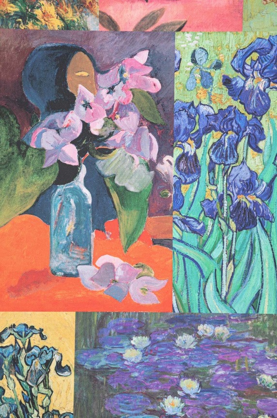 Ležaljka Medicine RS24-GAU607 šarena RS24