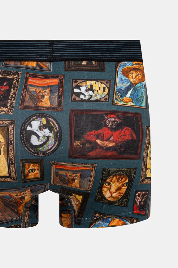 Bavlnené boxerky pánske s elastanom z kolekcie pre milovníkov mačiek (2-pack) viac farieb viacfarebná RS25-BIM350