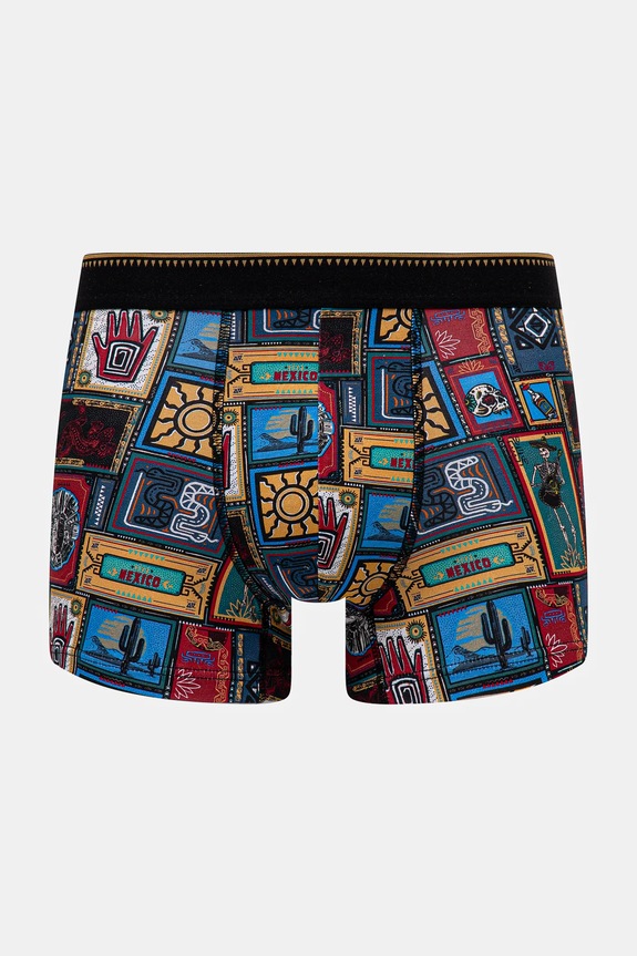 Odzież Bokserki bawełniane męskie z elastanem wzorzyste (2-pack) kolor multicolor RS25-BIM703 multicolor