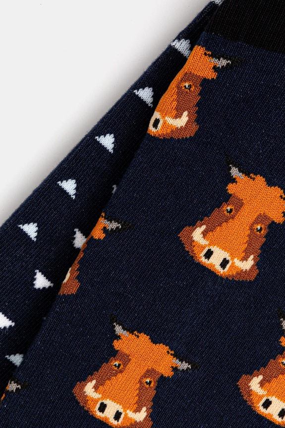 Skarpetki bawełniane męskie z motywem zwierzęcym (2-pack) kolor multicolor RS25-LGM102 multicolor RS25