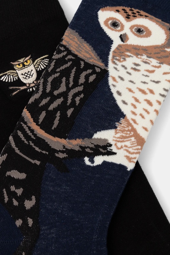 Bavlnené ponožky s motívom sovy (2-pack) viac farieb RS25.LGM111 viacfarebná RS25