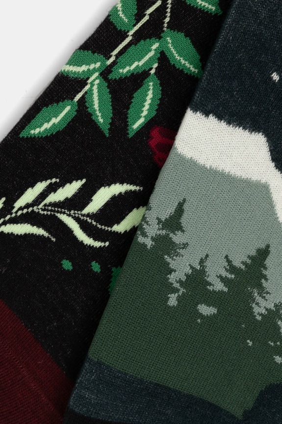 Odzież Skarpetki bawełniane męskie z motywem roślinnym i zwierzęcym (2-pack) kolor multicolor RS25.LGM114 multicolor