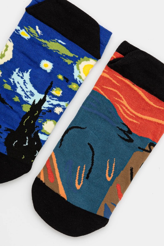 Oblečení Bavlněné ponožky pánské z kolekce pro milovníky koček (2-pack) více barev RS25.LGM351 vícebarevná