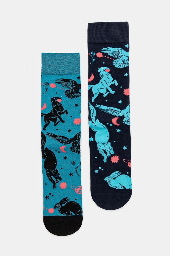 Bavlněné ponožky pánské se vzorem (2-pack) více barev dlouhé ponožky vícebarevná RS25.LGM400