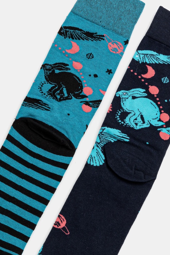 Oblečení Bavlněné ponožky pánské se vzorem (2-pack) více barev RS25.LGM400 vícebarevná