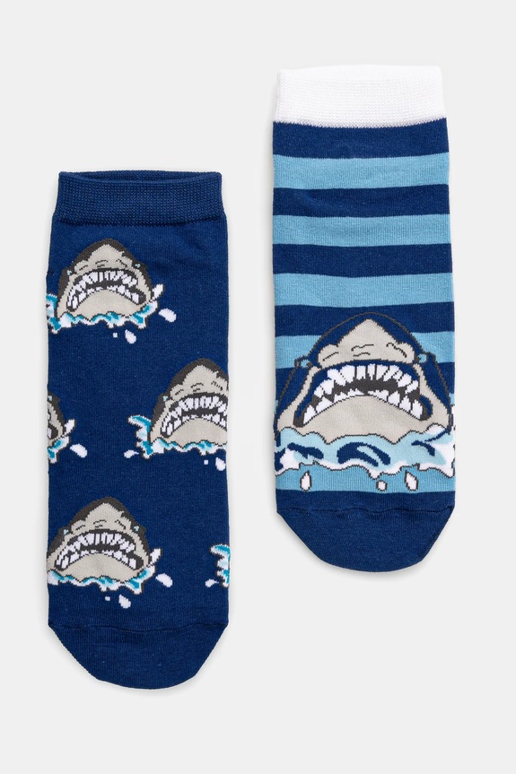 Bavlnené ponožky pánske (2-pack) viac farieb pásiky viacfarebná RS25-LGM807