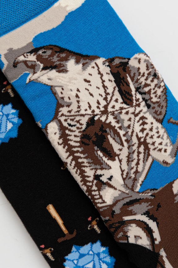 Βαμβακερές κάλτσες Medicine 2-pack RS25-LGM851 πολύχρωμο