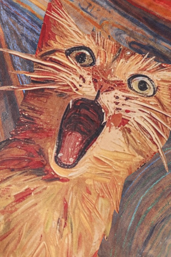 Spálňa Dekoratívna obliečka na vankúš z kolekcie pre milovníkov mačiek 45 x 45 cm viac farieb RS25.PSU350 viacfarebná