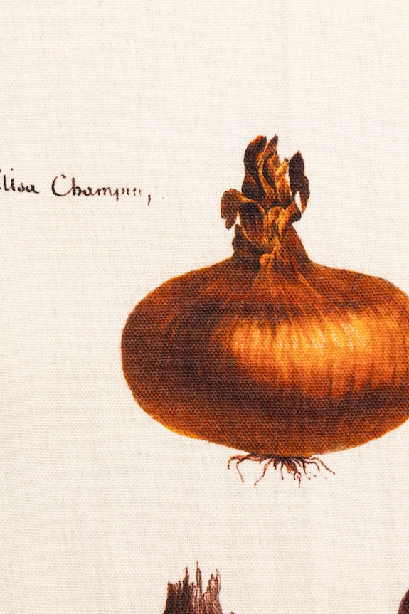 Medicine lavete de bucatarie din bumbac 2-pack multicolor RS25-SRU510