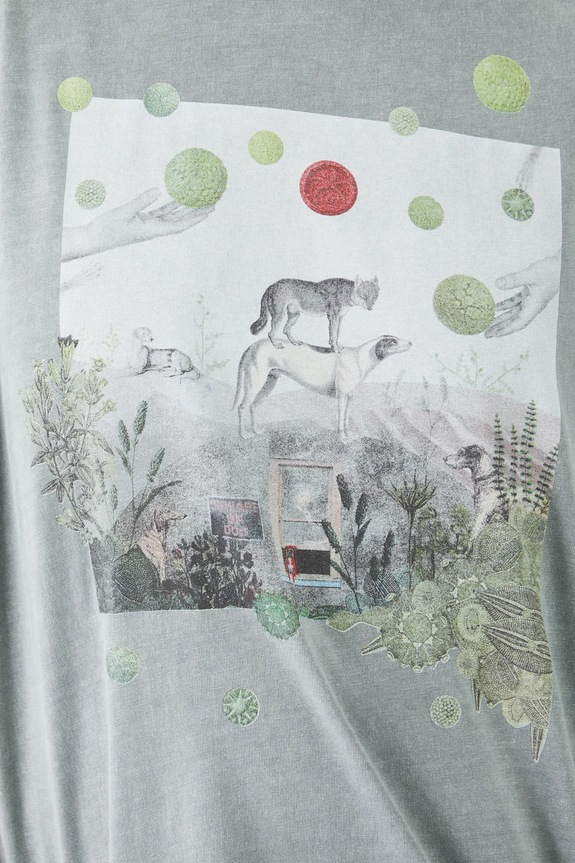 T-shirt bawełniany damski by Nieszka Skłodowska, Grafika Polska kolor zielony RS25.TSD463