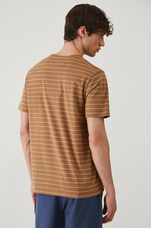 Odzież T-shirt bawełniany męski w pasy kolor brązowy RS25-TSM071 brązowy
