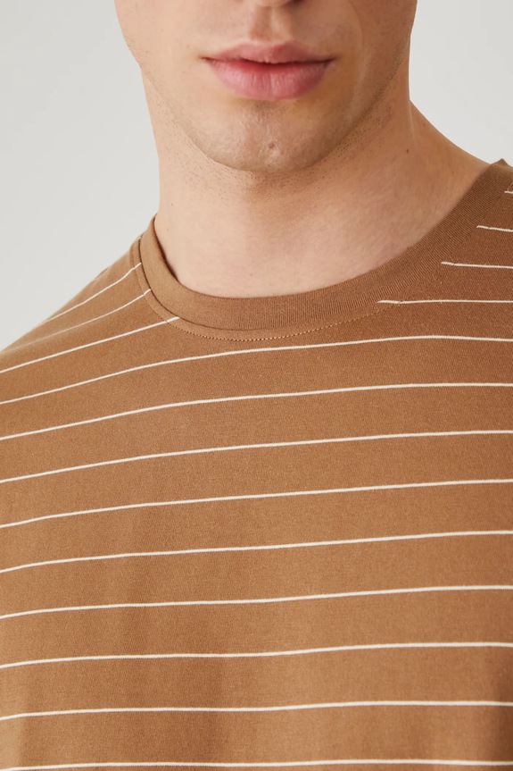 T-shirt bawełniany męski w pasy kolor brązowy RS25-TSM071 brązowy