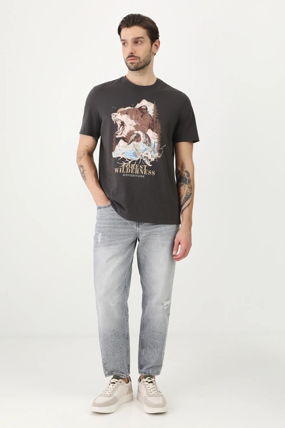 T-shirt bawełniany męski z nadrukiem kolor szary RS25-TSM522 szary RS25