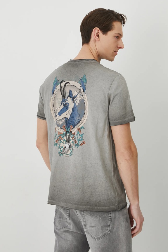 Odzież T-shirt bawełniany męski z nadrukiem kolor szary RS25-TSM524 szary