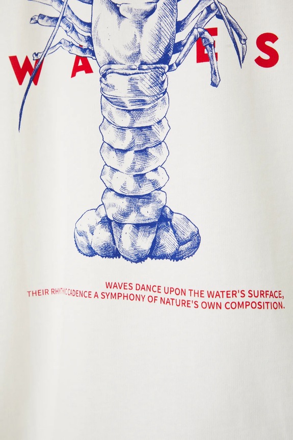 T-shirt męski z nadrukiem kolor beżowy RS25-TSM713 beżowy