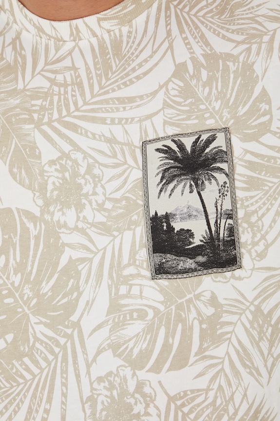 Bavlněné tričko pánské se vzorem béžová barva RS25-TSMA28 béžová