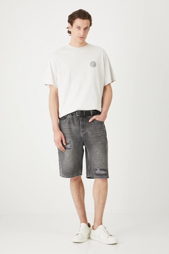 Oblečení Bavlněné tričko pánské Tattoo Art by Boren Huang – Horiren 彫壬 RS25-TSMC50 šedá