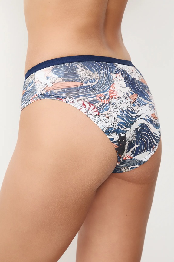 Bavlněné kalhotky dámské z Kočičí kolekce (2-pack) RS26-BID350