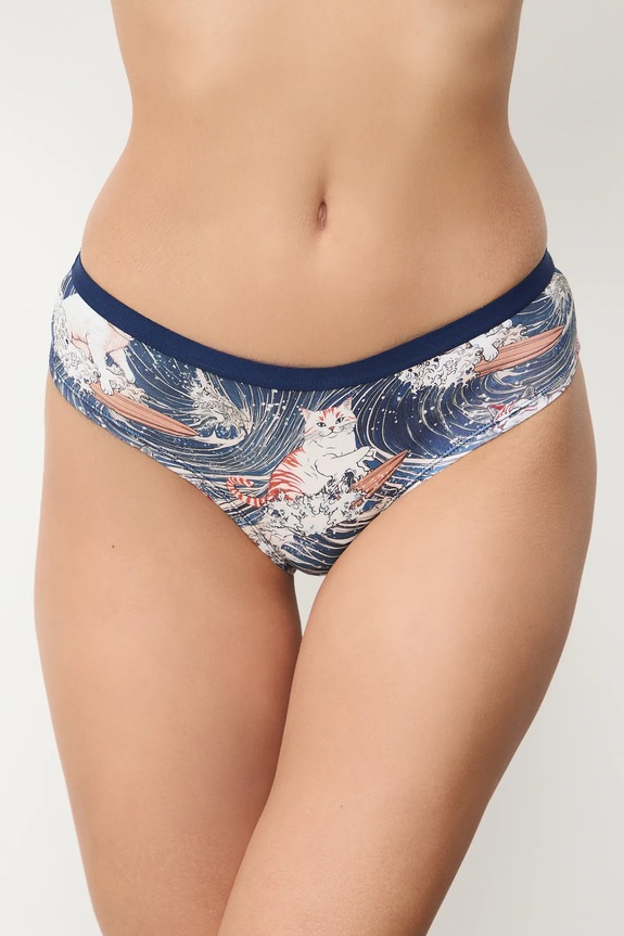 Bavlněné kalhotky dámské z Kočičí kolekce (2-pack) RS26-BID350