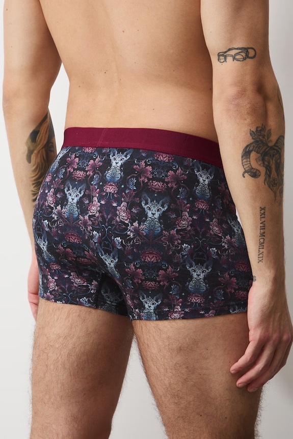 Bokserki bawełniane męskie z elastanem wzorzyste (2-pack) RS26-BIM102