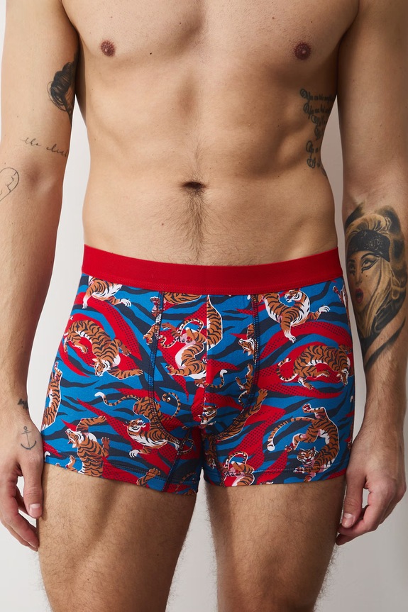 Bavlnené boxerky vzorované s elastanom (2-pack) RS26-BIM301