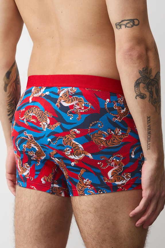 Bavlnené boxerky vzorované s elastanom (2-pack) RS26-BIM301