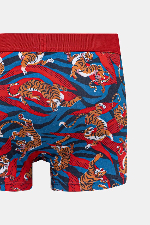 Bavlnené boxerky vzorované s elastanom (2-pack) RS26-BIM301 viacfarebná