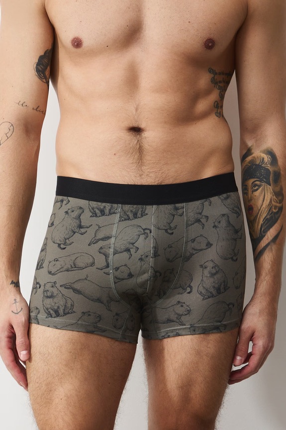 Bavlnené boxerky vzorované s elastanom (2-pack) RS26-BIM302