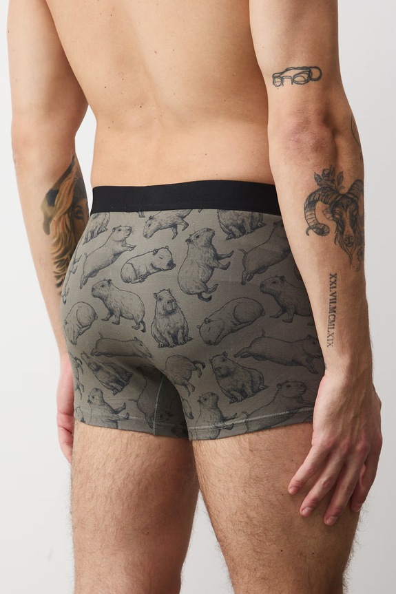 Bavlnené boxerky vzorované s elastanom (2-pack) RS26-BIM302