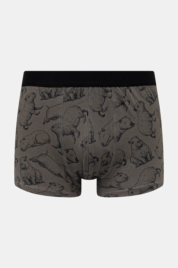 Bavlnené boxerky vzorované s elastanom (2-pack) viacfarebná RS26-BIM302