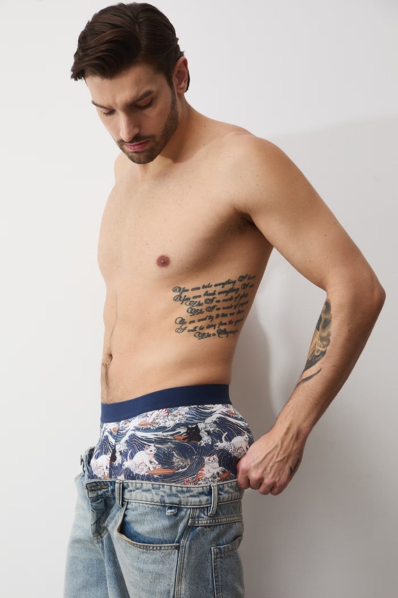 Boxerky z Mačacej kolekcie (2-pack) pletenina viacfarebná RS26-BIM350