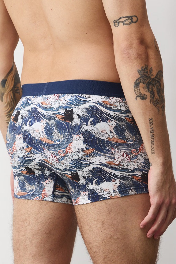 Boxerky z Mačacej kolekcie (2-pack) RS26-BIM350
