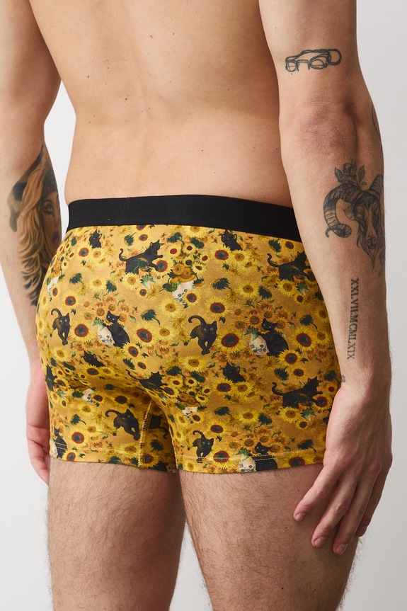 Boxerky z Mačacej kolekcie (2-pack) RS26-BIM350